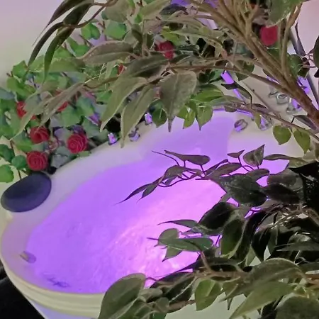 Youri Il Magnifico 2* Γένοβα