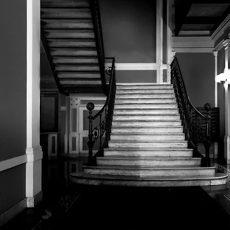 Youri Il Magnifico 2*