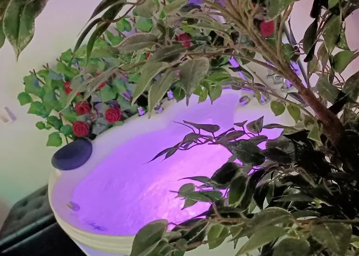 Youri Il Magnifico 2* Génova